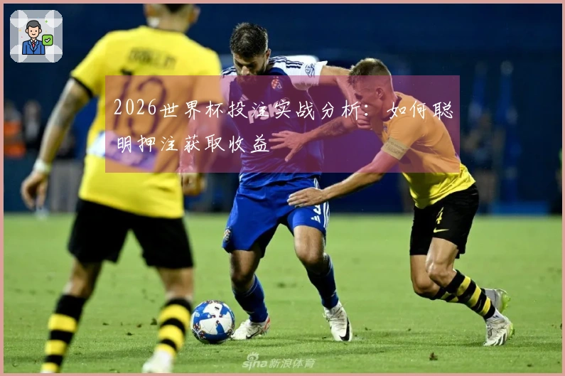 2026世界杯投注实战分析：如何聪明押注获取收益
